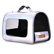 BORSA TRASPORTINO SEMIRIGIDA HOLOGRAPHIC